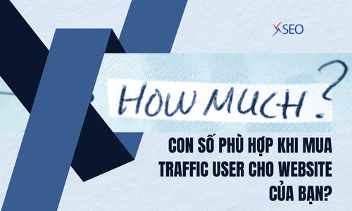 Con số phù hợp khi mua traffic user cho website của bạn?