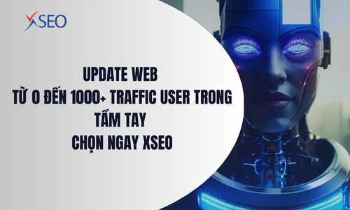 Update web từ 0 Đến 1000+ Traffic User trong tầm tay - Chọn ngay XSEO